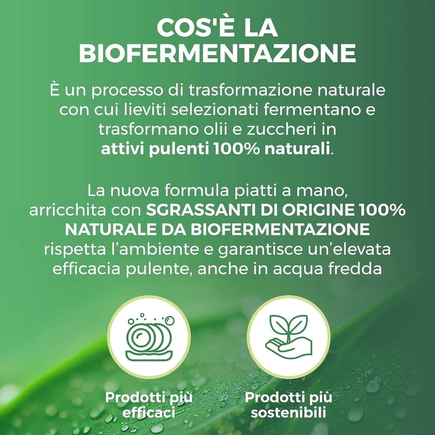 Winni's Piatti Concentrato Lime e Fiori di Mela 480ml – Detergente Ipoallergenico con Sgrassanti da Biofermentazione