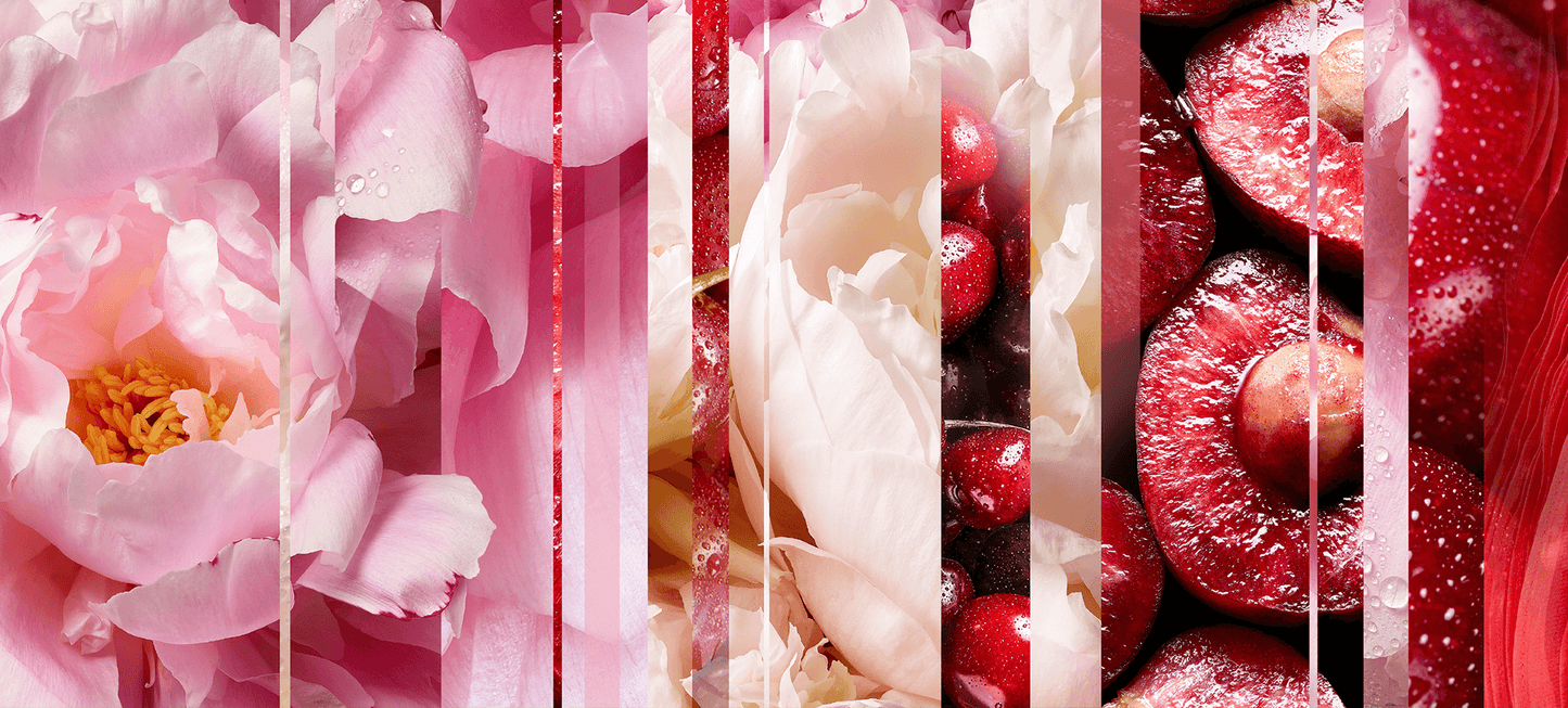 Glade® Automatic Spray Ricarica 269 ml | Fragranza Luscious Cherry & Peony | Tecnologia TrueScent™ con Oli Essenziali | Fino a 60 Giorni di Freschezza | Deodorante Ambienti