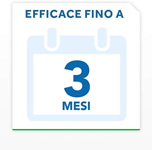 Baygon Insetticida Polvere Scarafaggi & Formiche 250g | Protezione Continua Fino a 12 Settimane | Barriera Anti Re-Infestazione per Interni ed Esterni