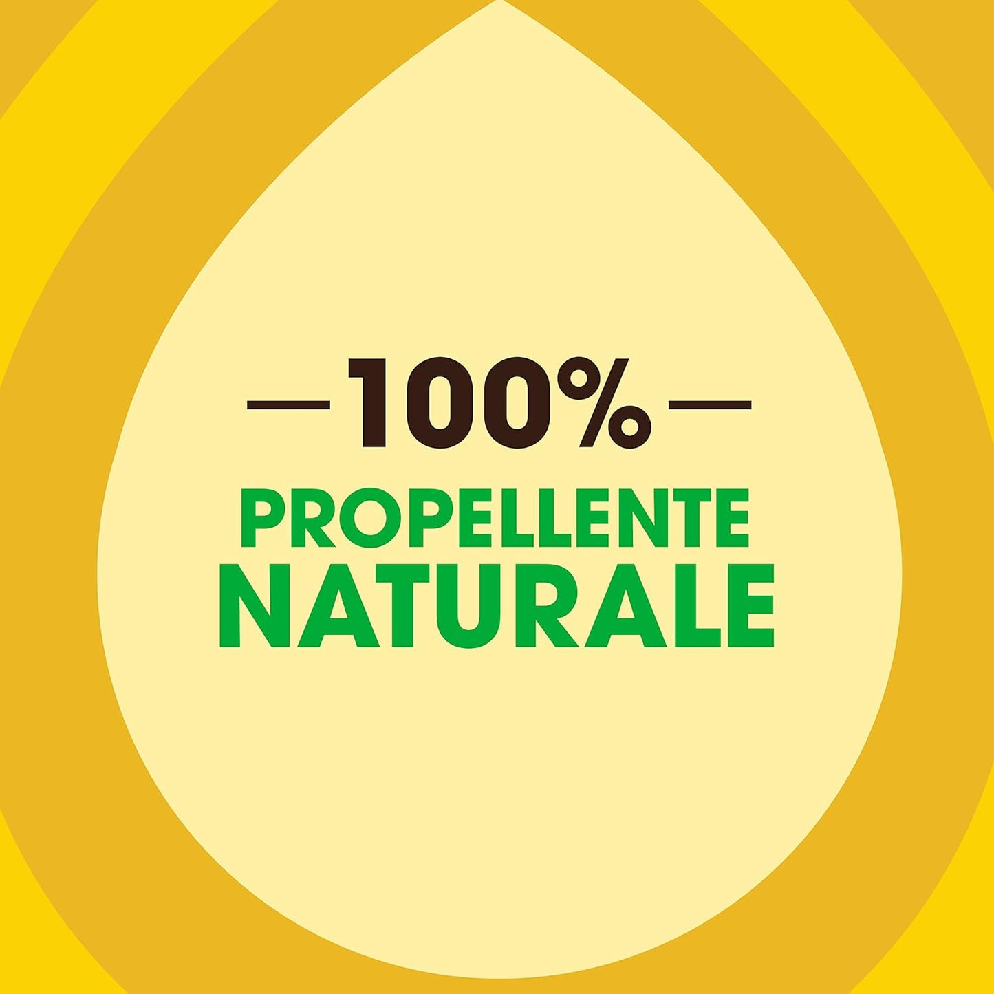 Pronto Spray Legno Classic – 300ml – Lucida, Protegge e Rimuove Polvere e Allergeni – Per Legno Sigillato e Mobili