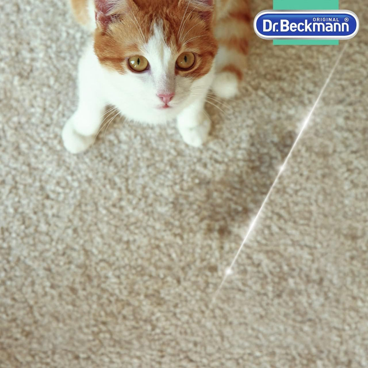 Dr. Beckmann Rimuovi Macchie Tappeti 650 ml | Elimina Macchie Difficili e Odori di Animali Domestici | Con Ossigeno Attivo | Anche per Lana