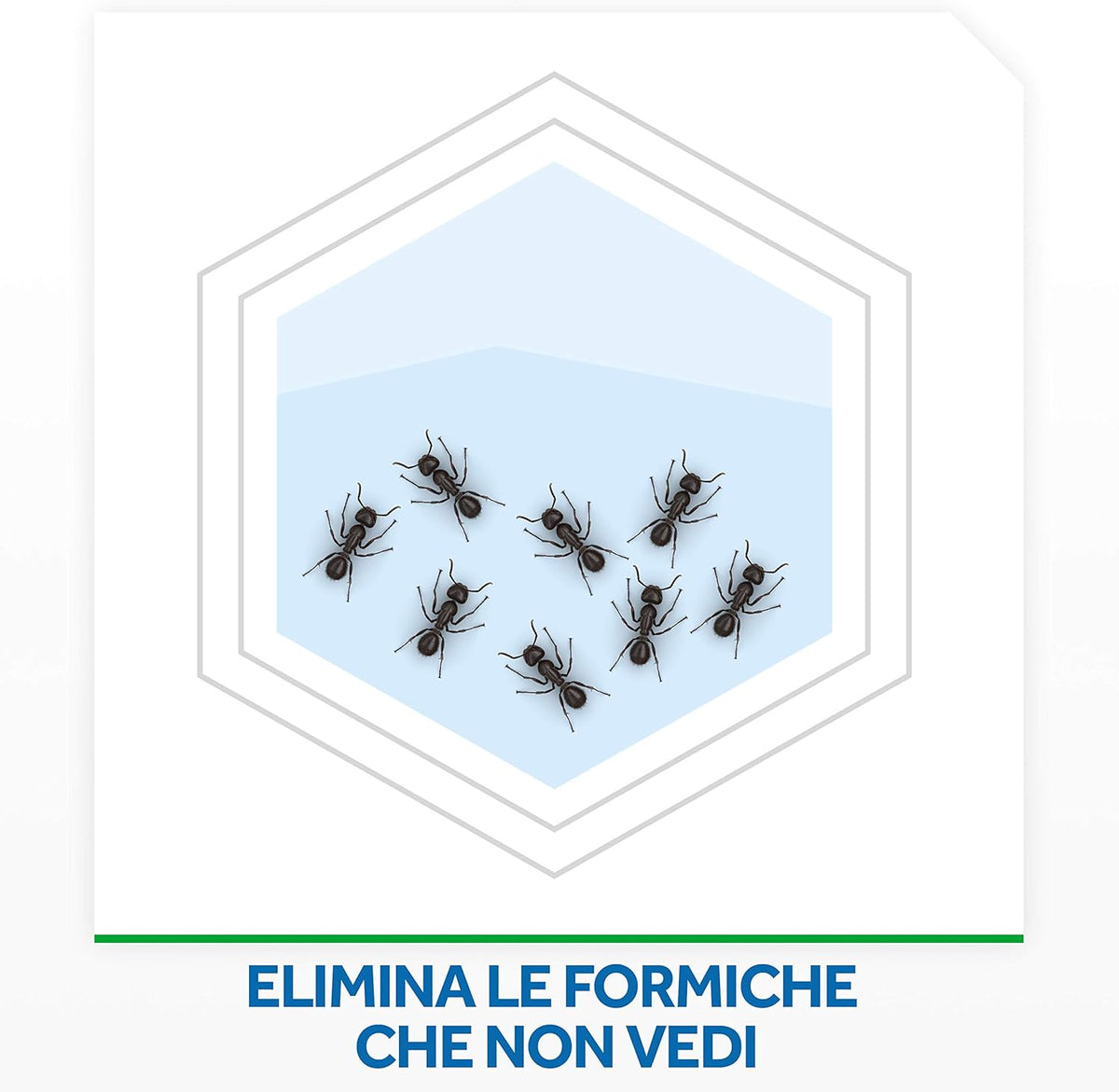 Baygon Insetticida Polvere Scarafaggi & Formiche 250g | Protezione Continua Fino a 12 Settimane | Barriera Anti Re-Infestazione per Interni ed Esterni