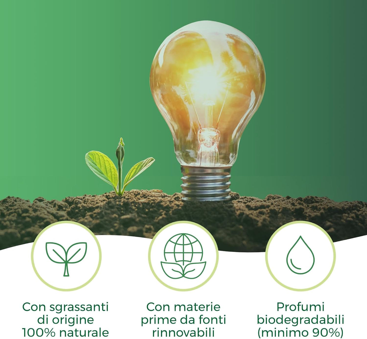 Winni's Piatti Concentrato 480ml Bergamotto & Zenzero – Detersivo Sgrassante Biofermentazione Anti-Odore e Ipoallergenico