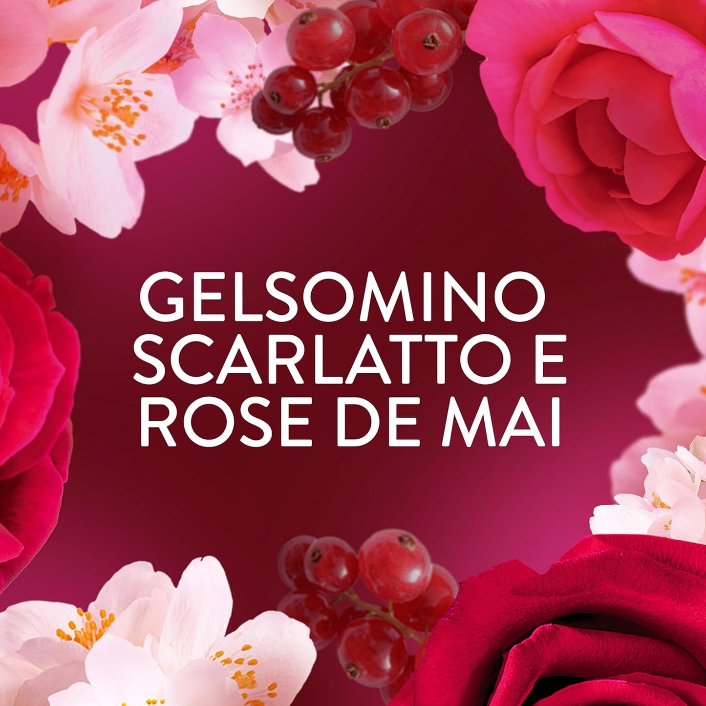 Lenor Ammorbidente Lavatrice Concentrato 87 Lavaggi | Gelsomino Scarlatto e Rose di Mai | Tecnologia Olii Profumati | 1,827 Litri