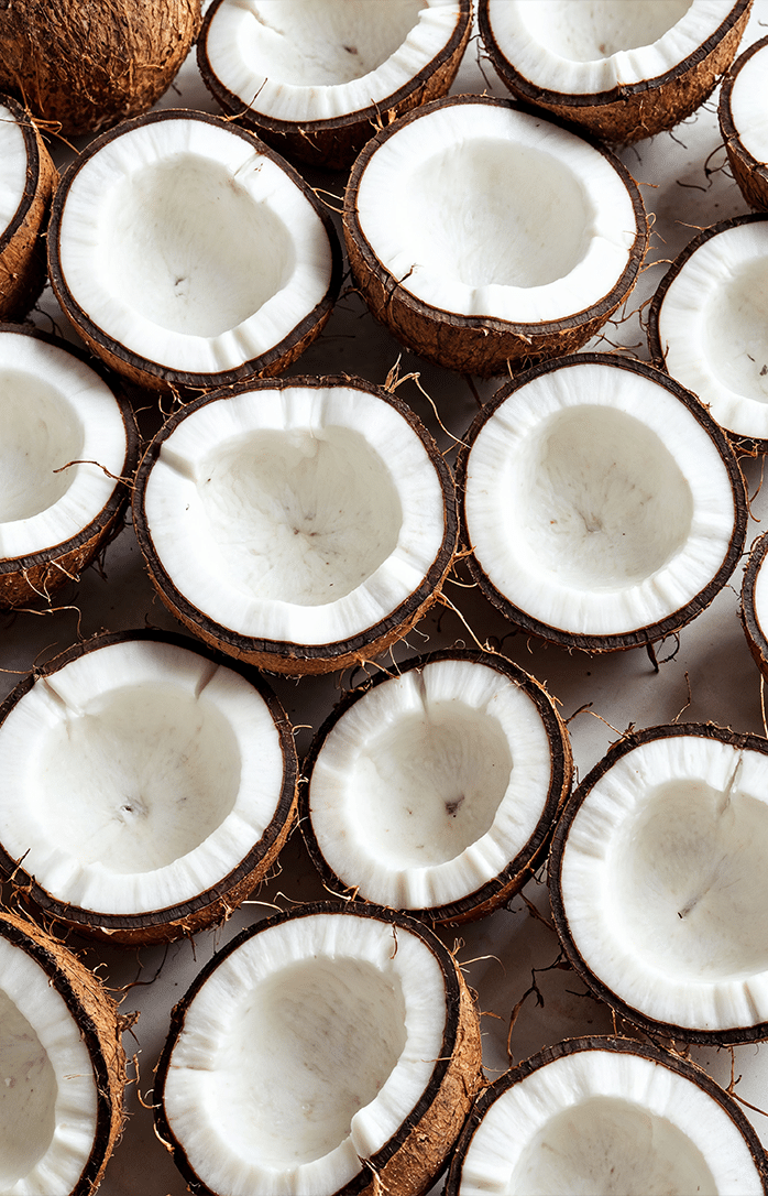 Leocrema Cocco Crema Corpo Idratante 95% Naturale – Idratazione Intensa 72h – Benessere Avvolgente e Vellutato