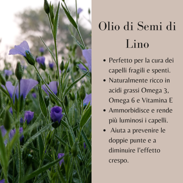 I Provenzali Olio di Semi di Lino 100ml – Trattamento Rinforzante 100% Vegetale – Per Capelli Fragili e Sfibrati – Senza Siliconi – Azione Anti-Crespo