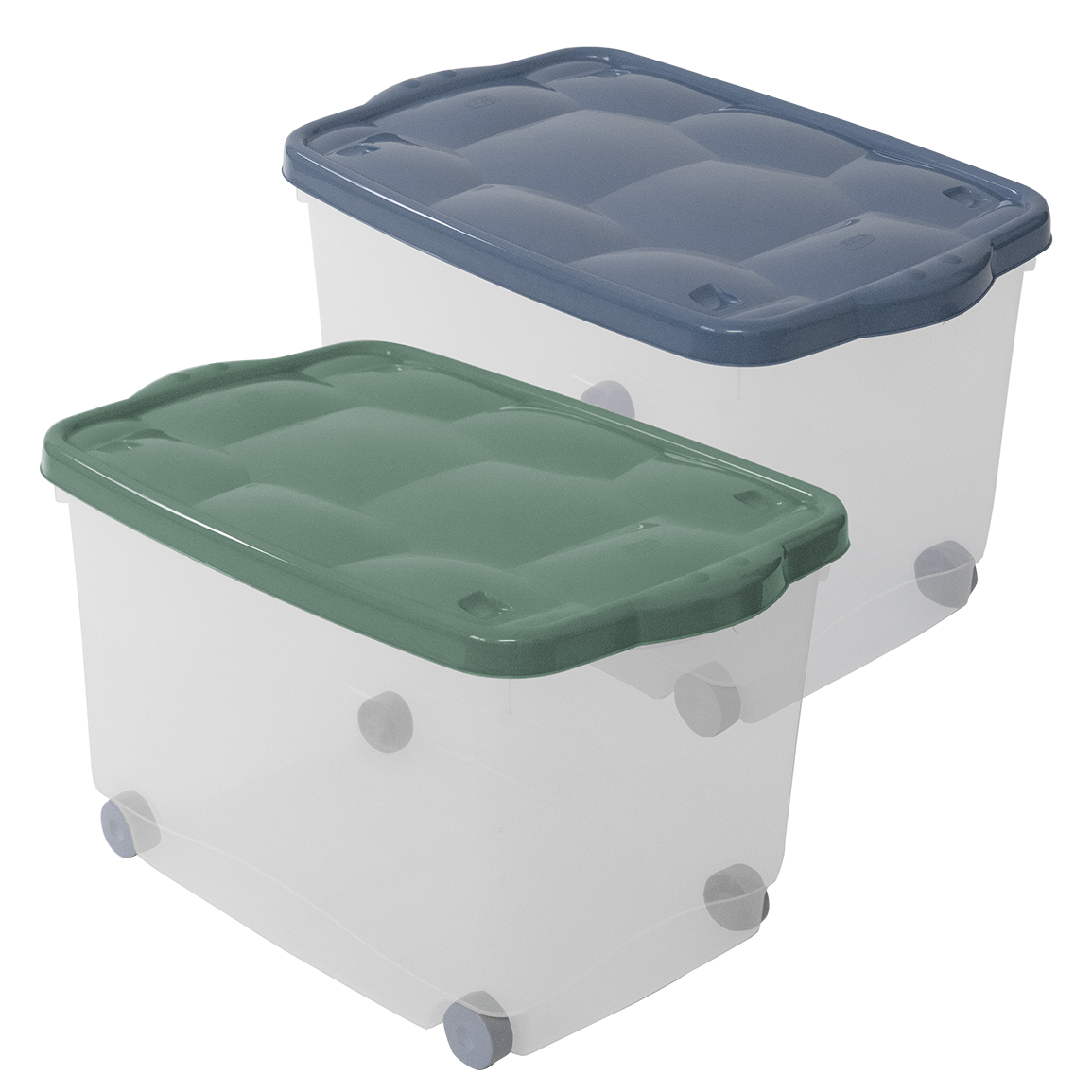 Contenitore Belli e Forti Storage Box Marea TARTARUGO | 60x40x36 cm | Scatola Multiuso con Coperchio e Ruote | Soluzione Salvaspazio Robusta