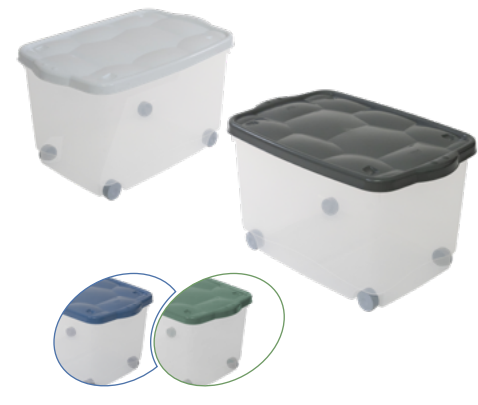 Belli e Forti Storage Box Tartarugo con Ruote | 60x40x36 cm | Contenitore Salvaspazio Impilabile | Coperchio Bianco o Antracite | Made in Italy